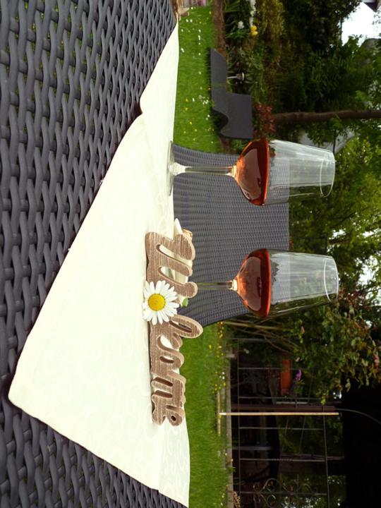 آنفايلار آم تريفلز Pension Bergterrasse المظهر الخارجي الصورة