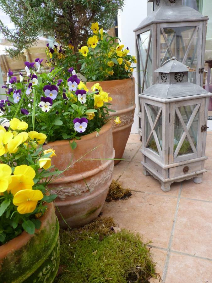 آنفايلار آم تريفلز Pension Bergterrasse المظهر الخارجي الصورة